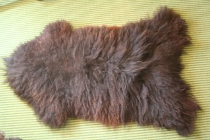 Braunbär 90cm Innenmaß (Leder) 110 cm Außenmaß (Wolle) € 65,-